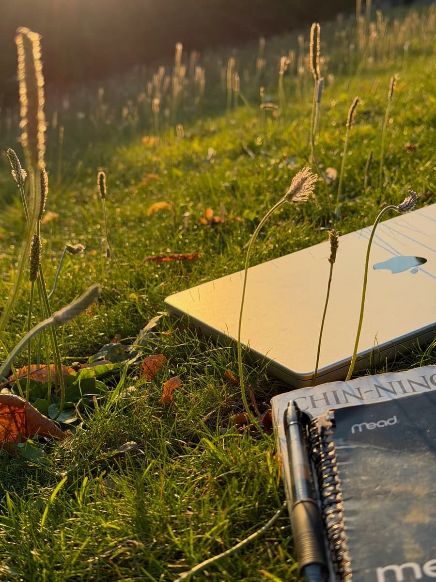 The journal in the grass, warmed by evening sunlight.