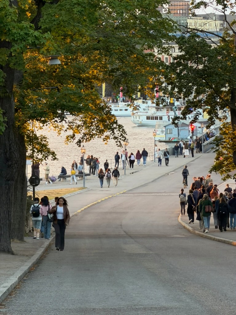 People gather on a waterfront path beneath trees in the golden evening light in Sweden.